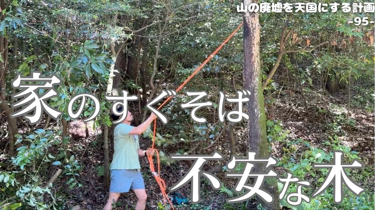 【大仕事】危ない枯れ木を伐って、山暮らしを整える