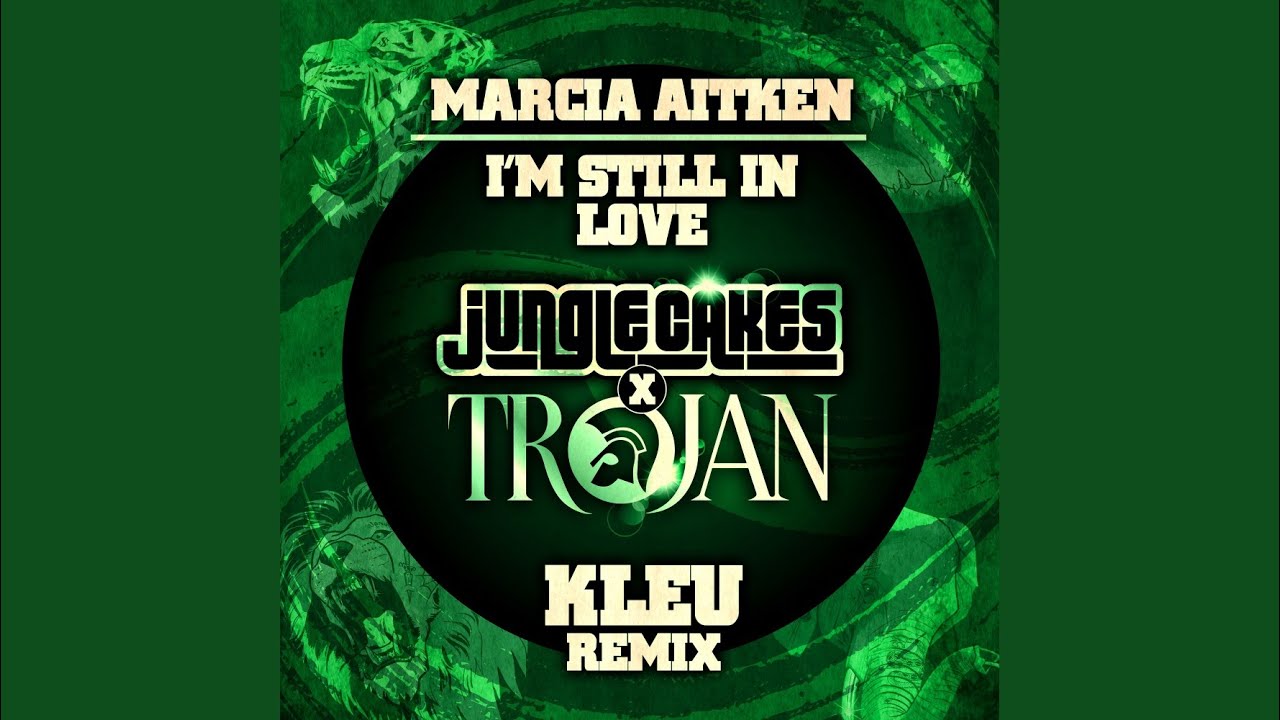 I'm Still in Love (Kleu Remix)