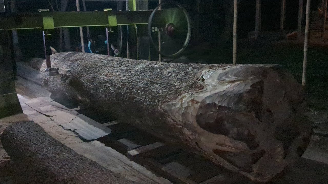 Wood Cutting at Night|| Dangerous Wood Cutting Practice at Night|| Wood Cutting Dangerous Things