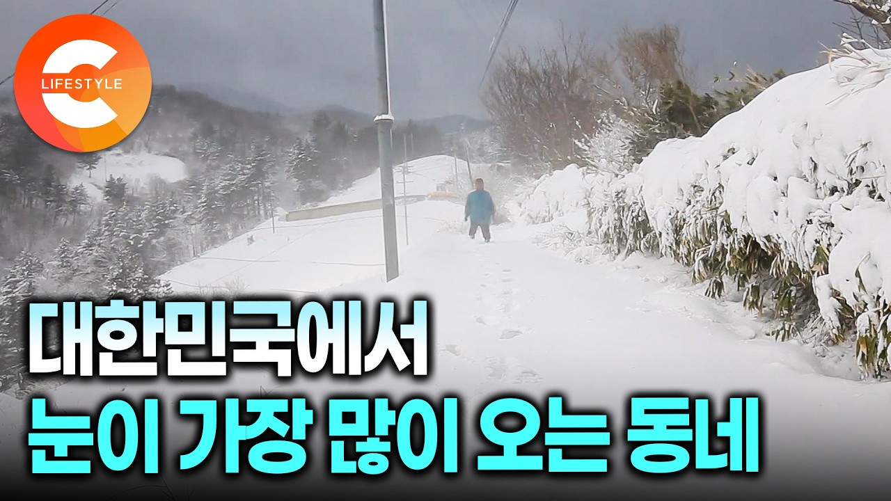 무릎까지 쌓인 눈이 모든 길을 지워버렸다. 겨울이 오면 눈으로 잠기는 감춰진 마을, 울릉도에서도 가장 높고 외진 곳에서 살아가는 설국 마을 사람들의 하루🏔ㅣ#한국기행