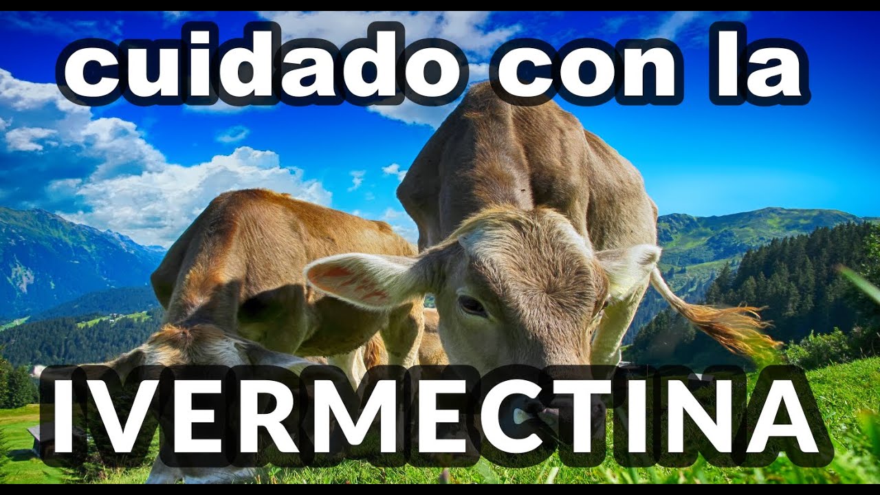 ANTIPARASITARIO - LA IVERMECTINA - EL USO DENTRO DE LA GANADERIA. PROYECTO GANADERO DESDE CERO.