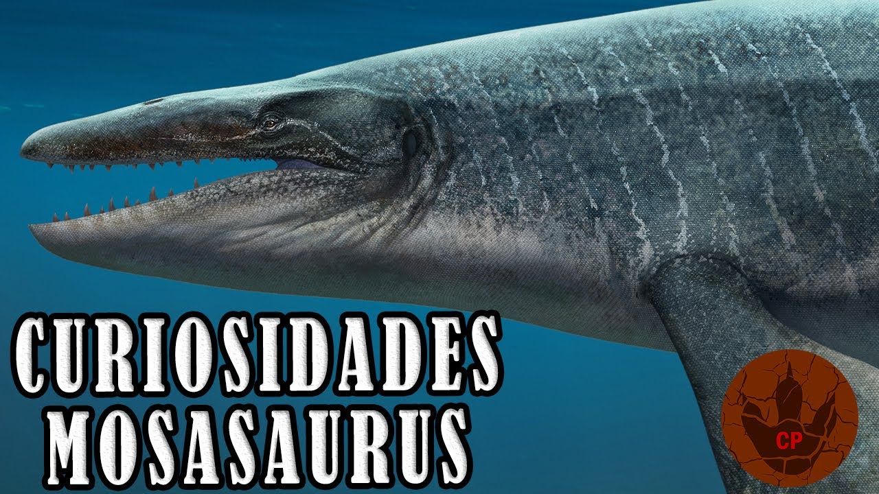 CURIOSIDADES DEL MOSASAURUS