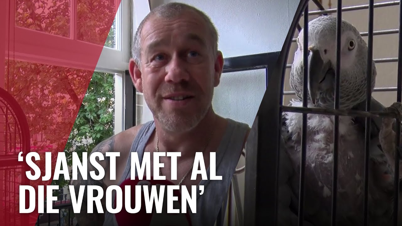 Papegaai Coco flirt met voorbijgangers op de Wallen