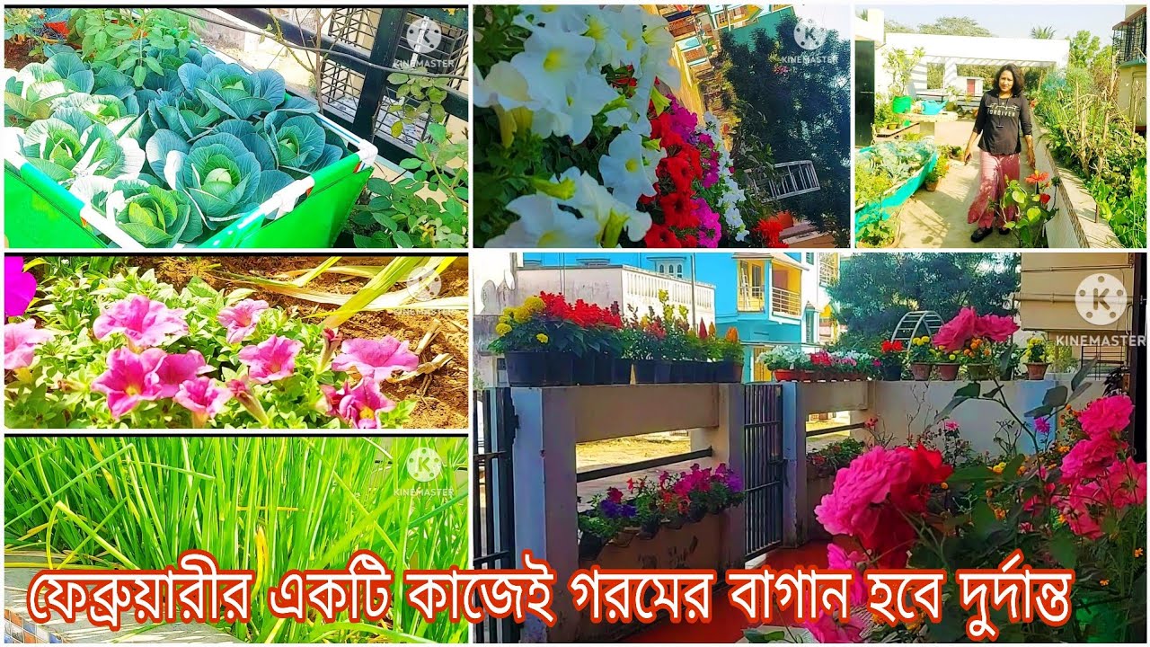 February mase 1ti kaj korlei goromer baganer ardhek kaj hoye jabe #roofgarden