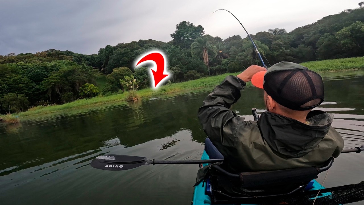 MUITA AÇÃO e POUCO PEIXE - Represa do Rio Verde