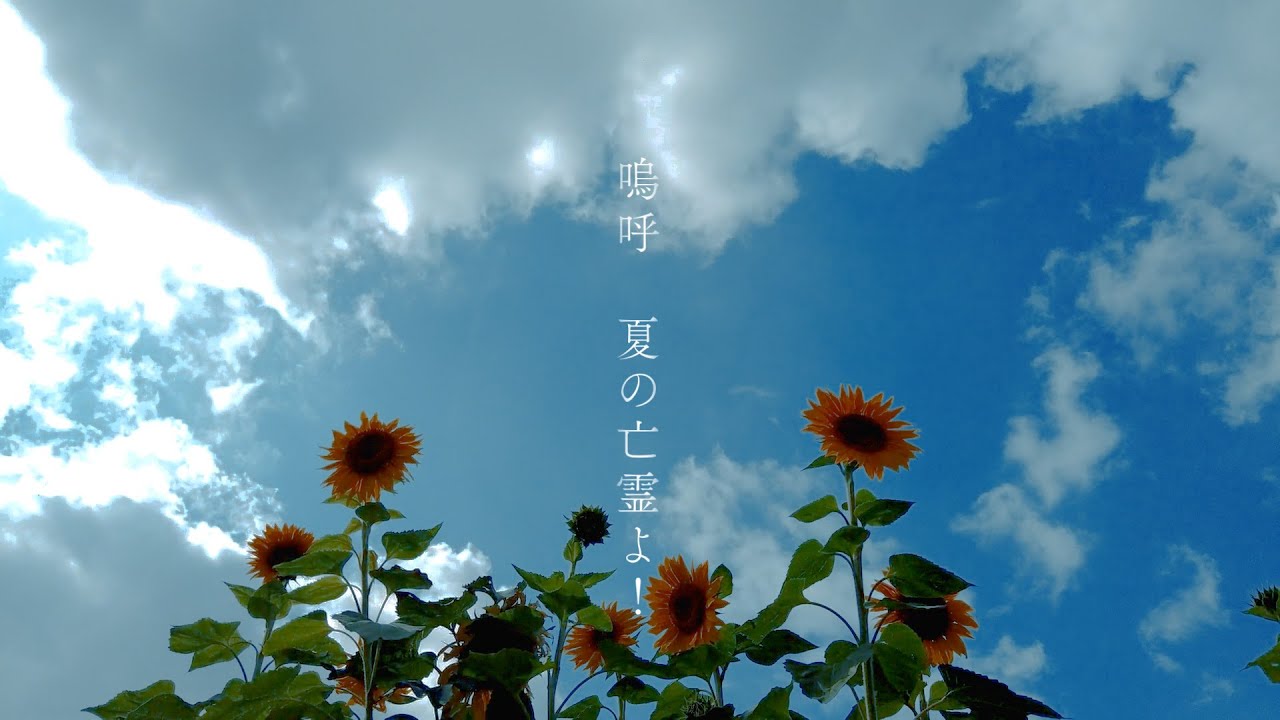 夏の亡霊 / Watashi feat.花隈千冬