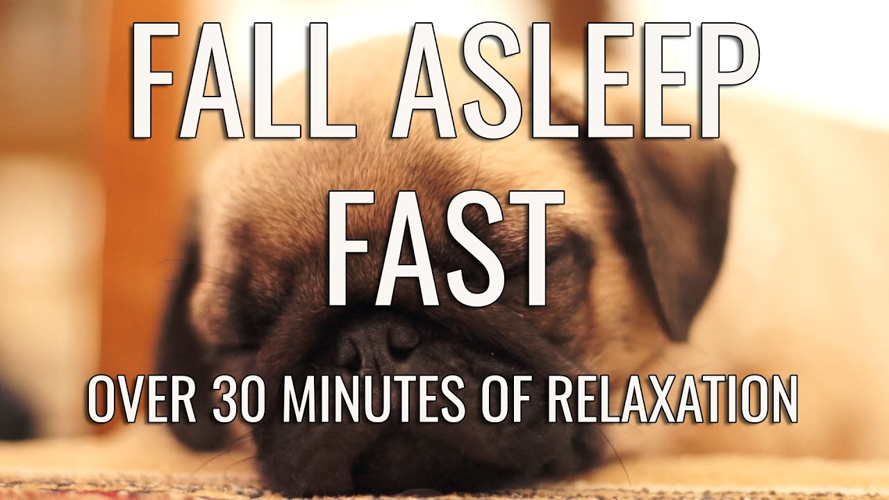 Enjoy this cute sleeping pug. Over 30 minutes of relaxation.