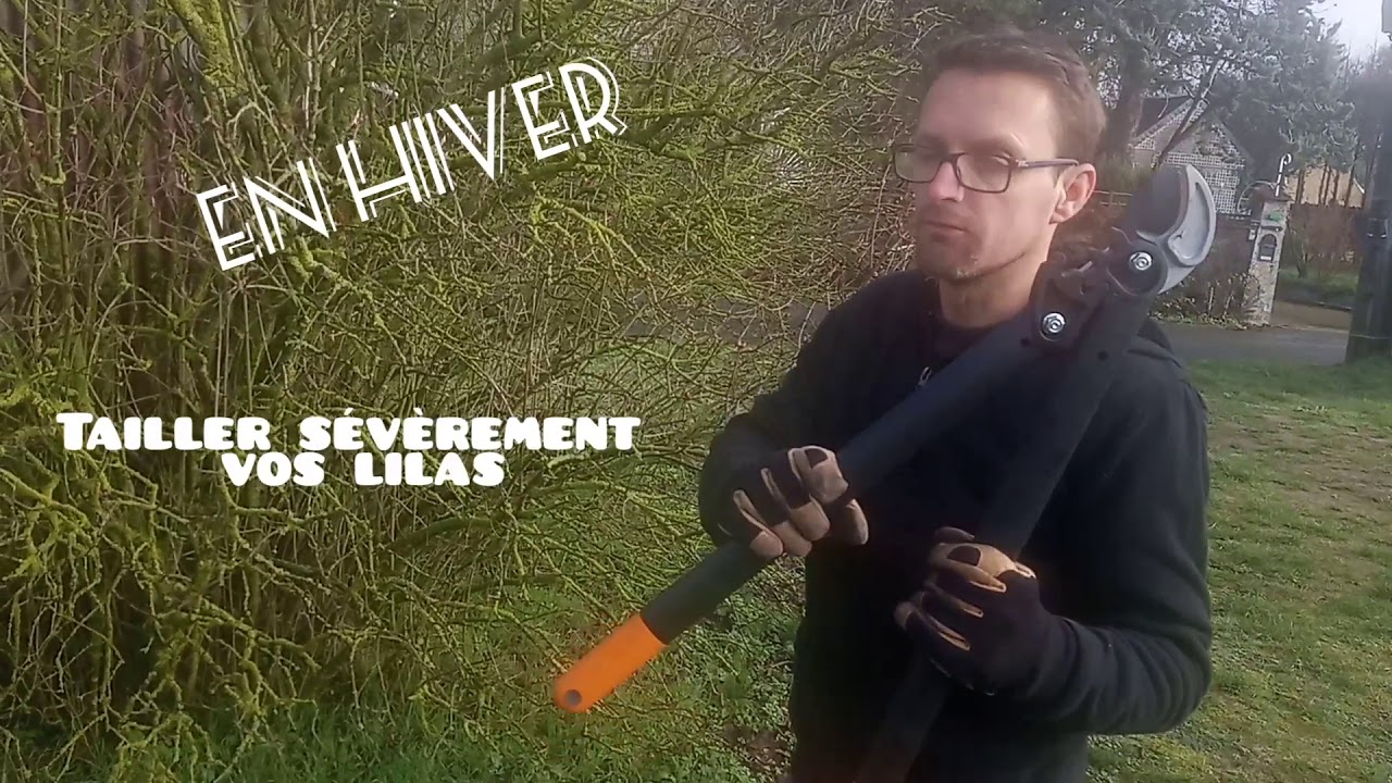 RABATTEZ sévèrement vos LILAS en HIVER