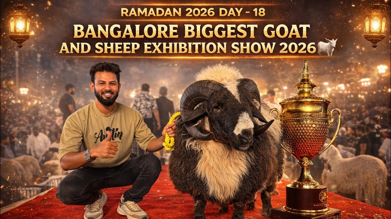 𝐁𝐚𝐧𝐠𝐚𝐥𝐨𝐫𝐞 𝐁𝐢𝐠𝐠𝐞𝐬𝐭 𝐆𝐨𝐚𝐭 𝐚𝐧𝐝 𝐒𝐡𝐞𝐞𝐩 𝐄𝐱𝐡𝐢𝐛𝐢𝐭𝐢𝐨𝐧 𝐒𝐡𝐨𝐰 𝟐𝟎𝟐𝟔 🐐 | 𝐀𝐭 𝐇𝐚𝐲𝐚𝐭 𝐄𝐯𝐞𝐧𝐭𝐬 𝐛𝐲 𝐉𝐀𝐙𝐁𝐀 𝐍𝐚𝐭𝐮𝐫𝐞’𝐬 𝐅𝐚𝐫𝐦 💚