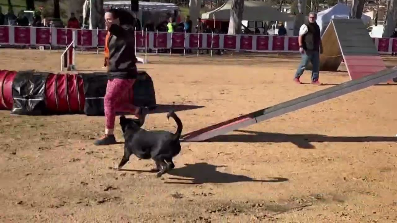 Caldes de Malavella celebrarà una nova edició de la Fira de la Terra aquest diumenge