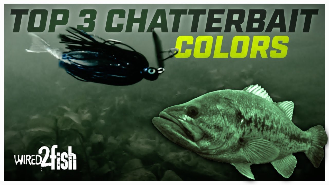 Top 3 ChatterBait Colors for All-Around Success