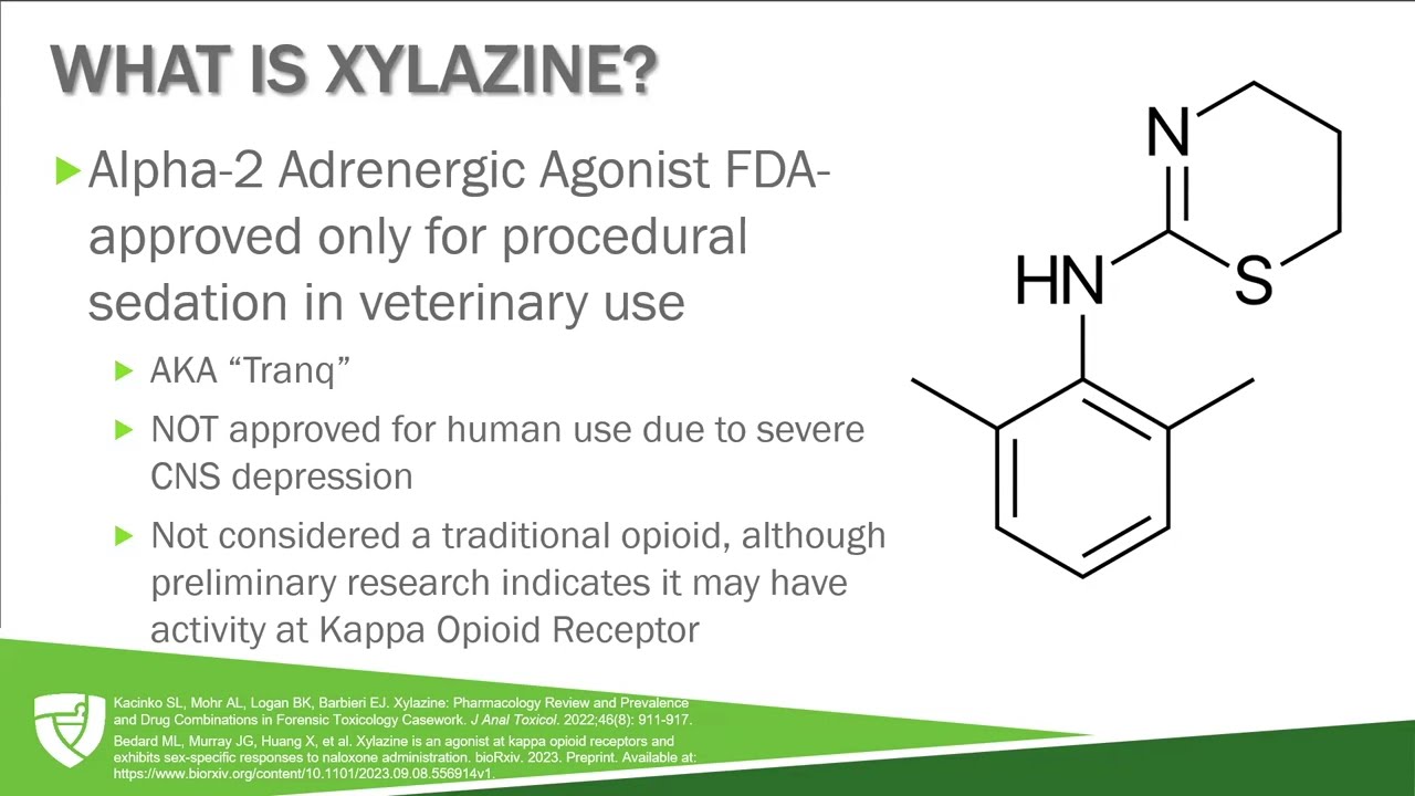 Understanding the Illicit Drug Supply Through Xylazine