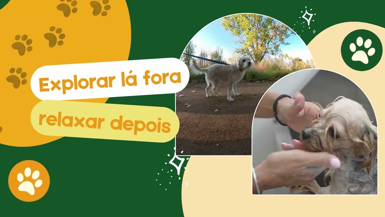 Conheça o banho e tosa2