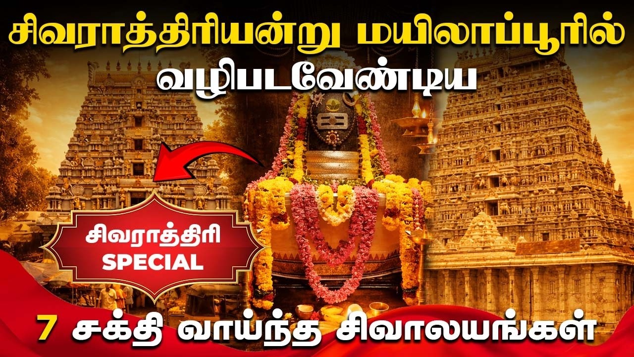 மயிலாப்பூரில் 7 சக்தி வாய்ந்த ஜீவசமாதிகள் ||#jeevasamathi #mylapore #mylaporesaibabatemple