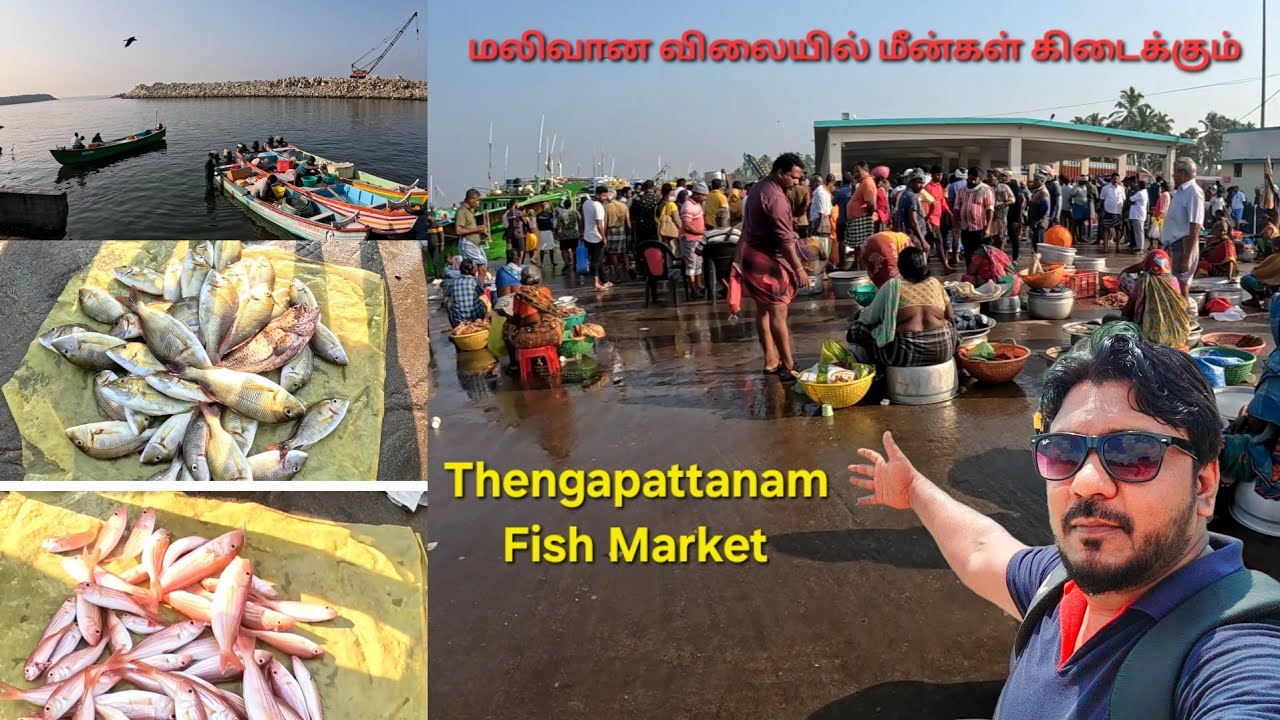 தேங்கப்பட்டணம் மீன்பிடி துறைமுகம் II Thengapattanam Fishing Harbour  @jackwesvlogs #fishing