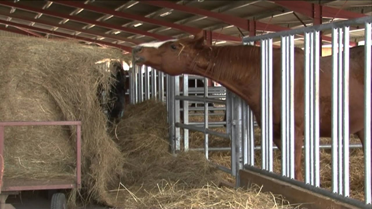 Haras des Faunes ... 2013 les grands travaux !