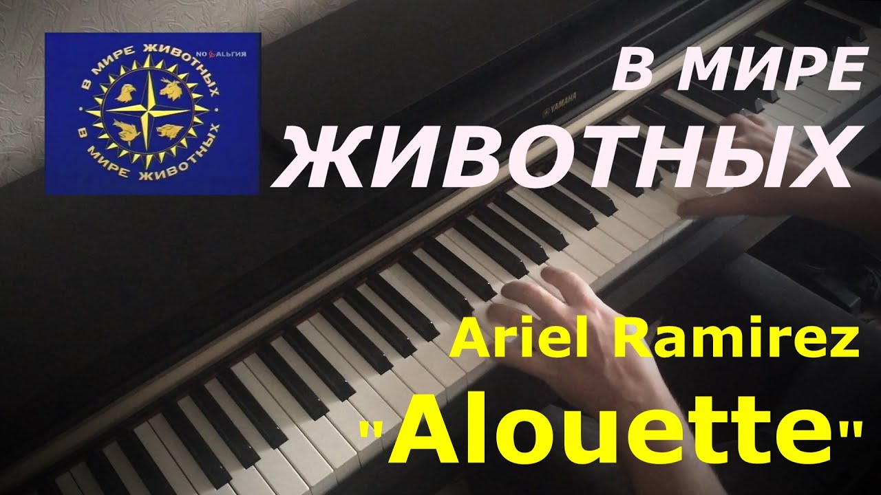 В мире животных 