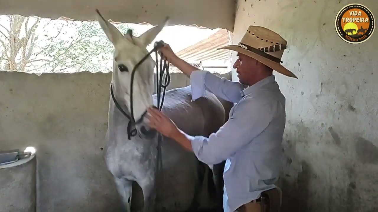 PARTE 2 MULA FORTALEZA