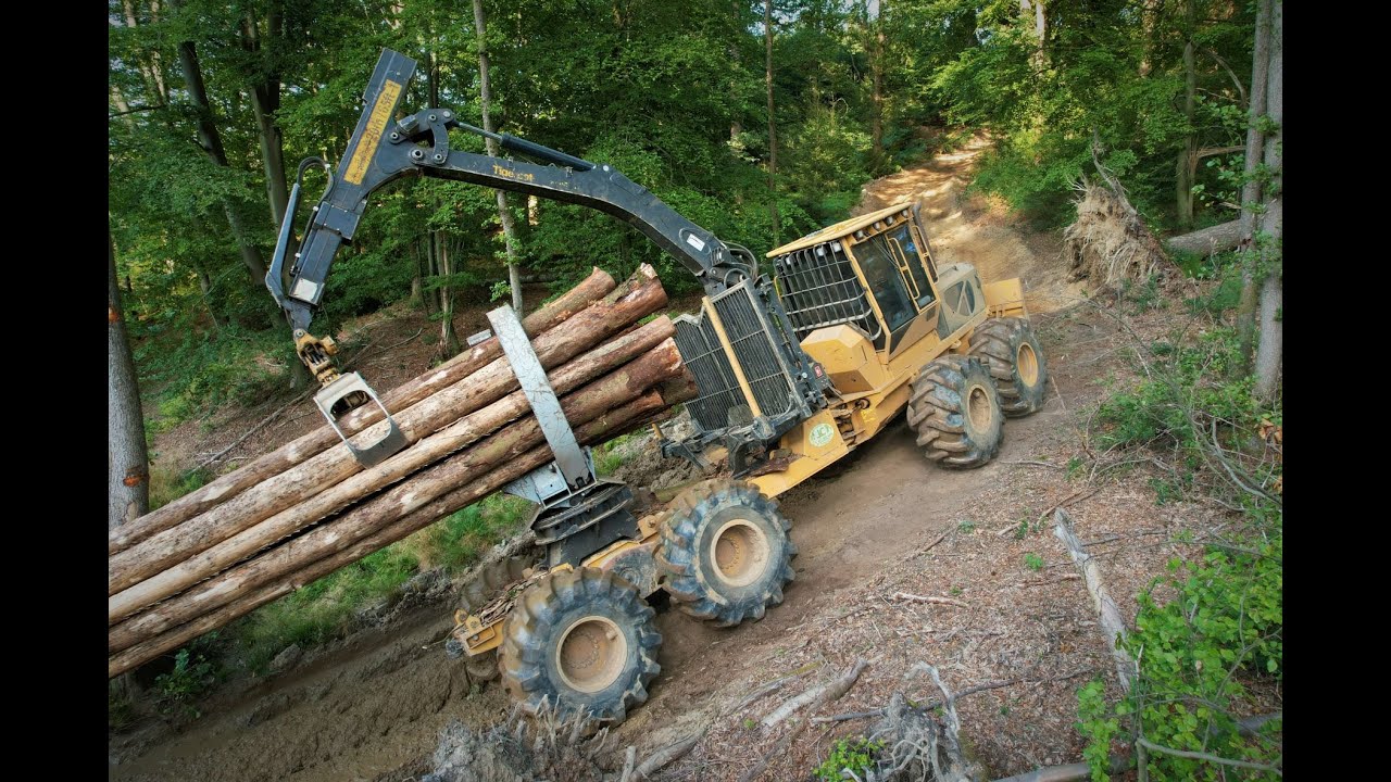 🌲4K| *AMI-week* TCI 1075C • *THE big Canadian* • The BIGGEST Forwarders • Forwarder in Action • #1🌲
