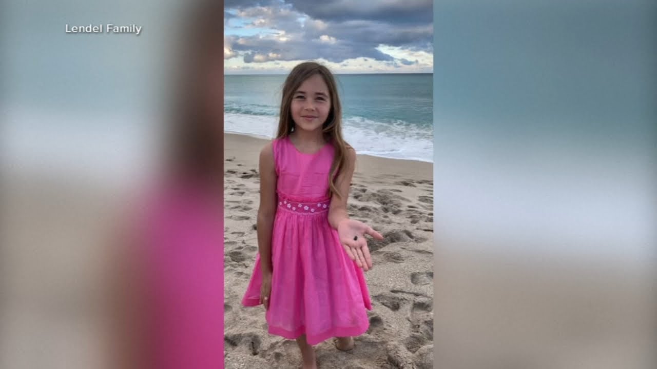 9-year-old girl attacked by shark in Florida, hand was mostly torn off