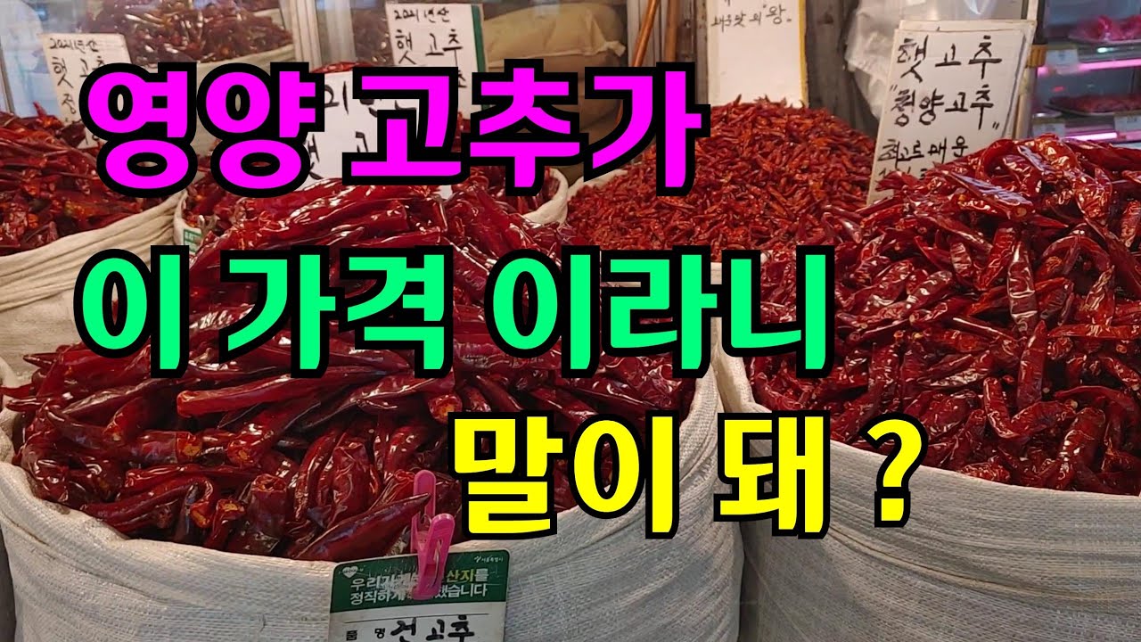 고추의 고장이라 역시 가격이 엄청 저렴하네요