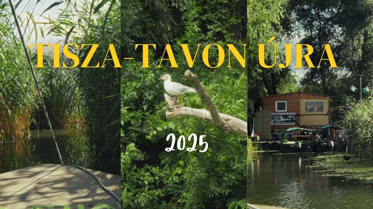 Tiszató'25 - másodszor is szép