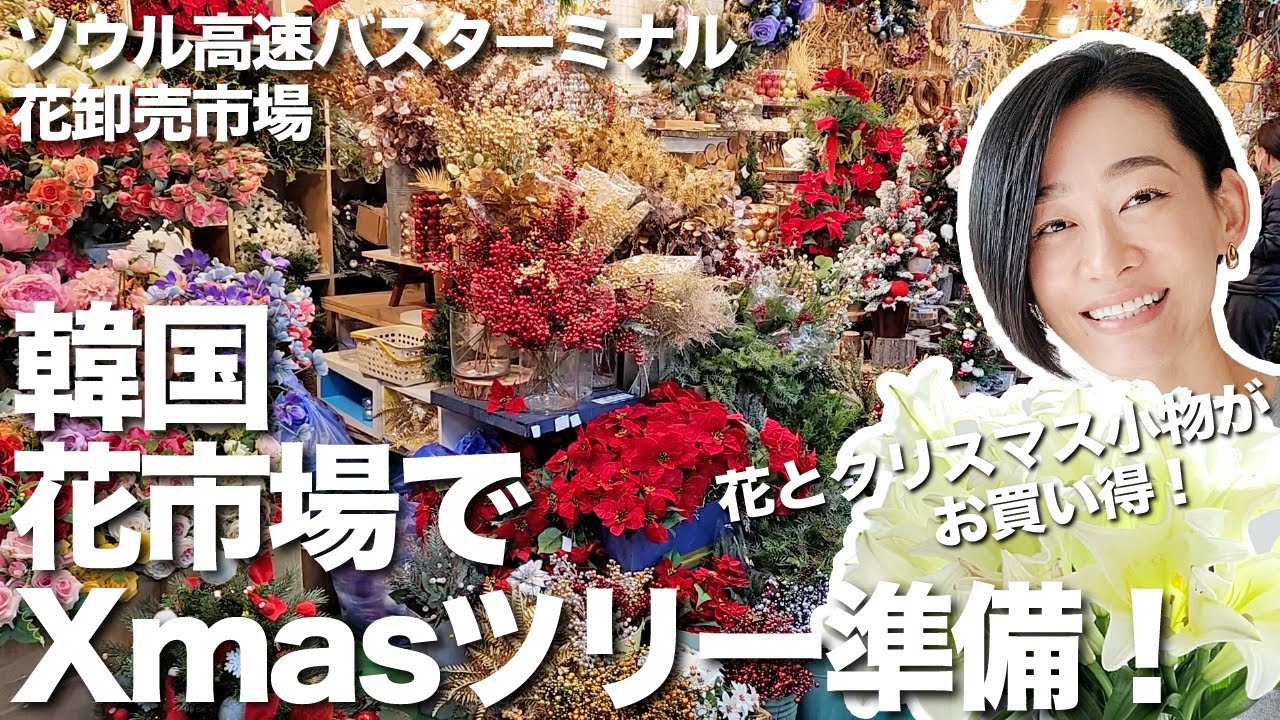 韓国ソウル【花卸売市場】で花とクリスマス小物を購入してツリーの準備〜！！ソウル高速バスターミナル花卸売市場をご紹介します＾＾