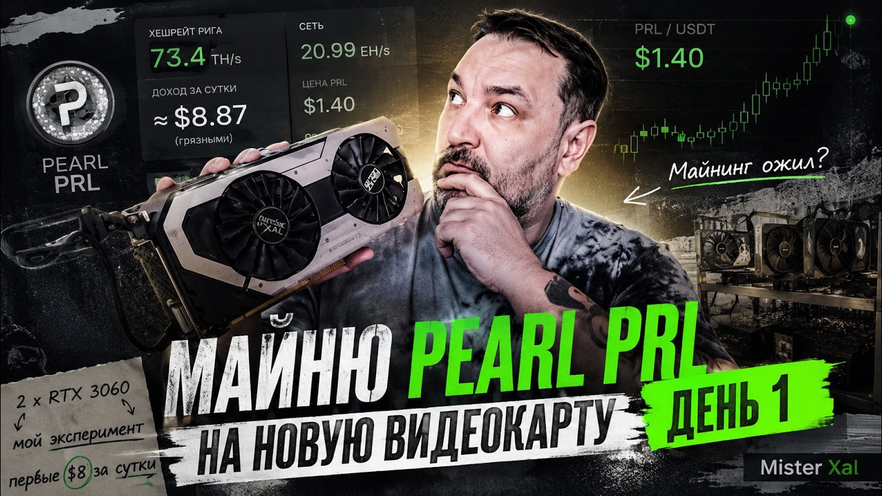 Майню Pearl PRL на новую видеокарту. День 1:  первые $8 за сутки