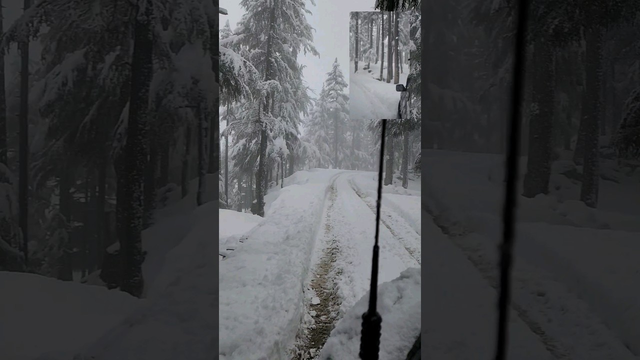 #kalamsnowfall  #snow #kalamvalley #malamjabbasnowfall #heavysnowfall #snowfall
