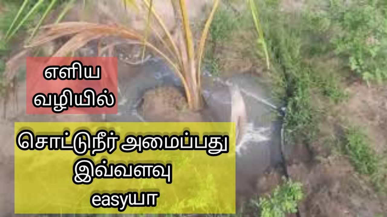 drip irrigation for coconut tree 🌴 சொட்டுநீர் பாசனம்  அமைப்பது எப்படி🏝easy wayinstal drip irrigation