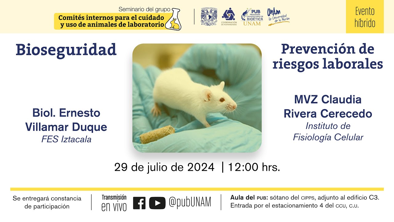 Seminario CiCUALES, &ldquo;Bioseguridad y prevenci&oacute;n de riesgos laborales&rdquo;.