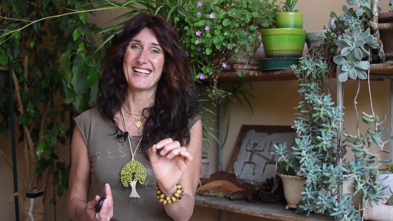 Come convincere i tuoi genitori ad essere pi&ugrave; ecologici - Diana Tedoldi Coach per iSchool