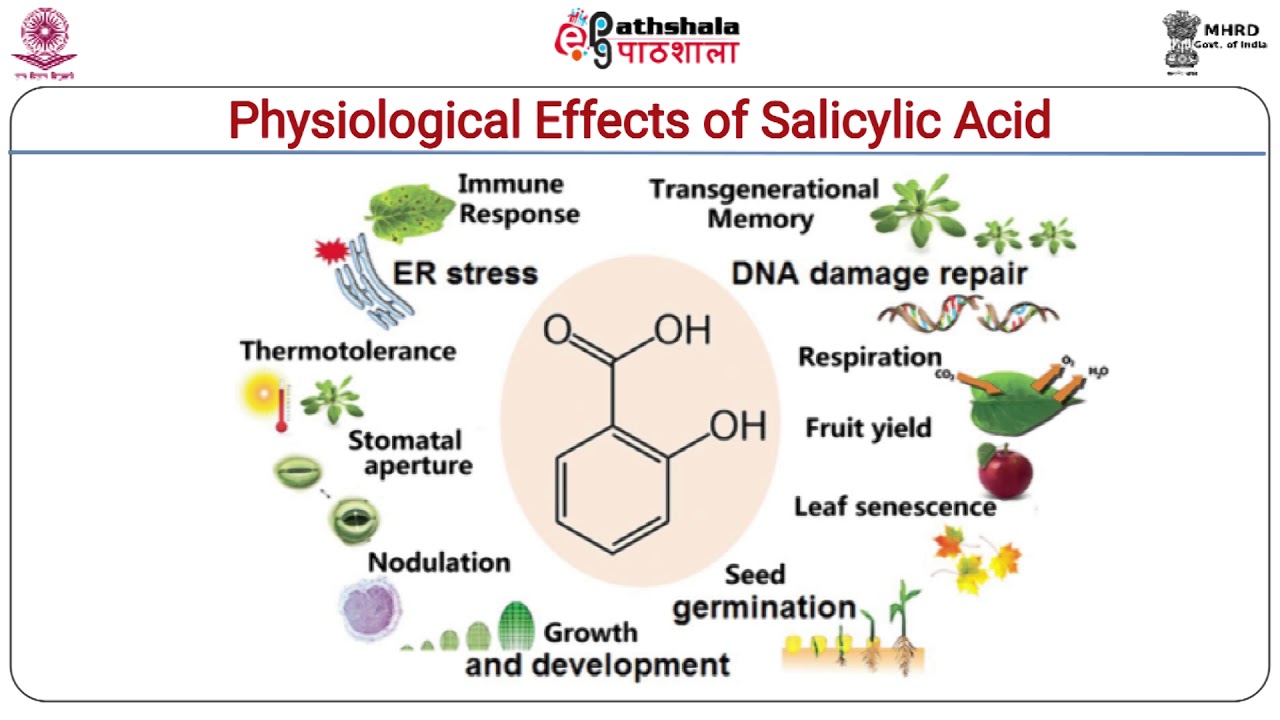 Salicylic acid