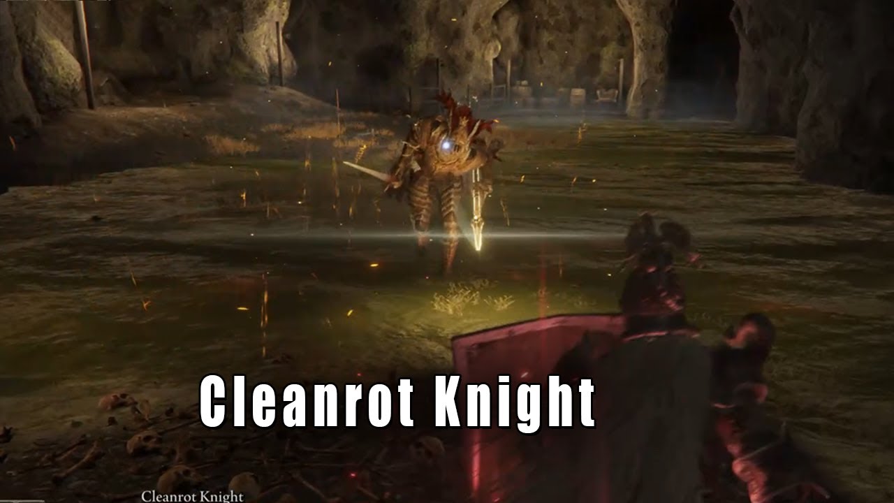Elden Ring - Cleanrot Knight Boss Fight
