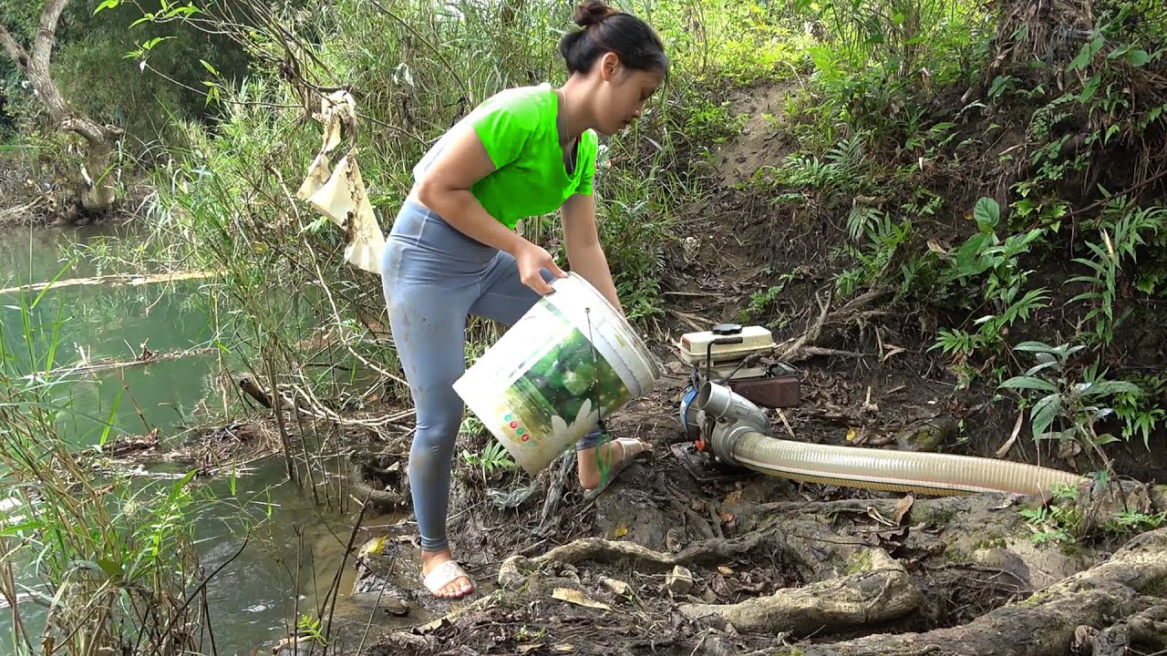 Girl Wading in Mud to Catch Fish - Girl with a Bumper Fish Catch