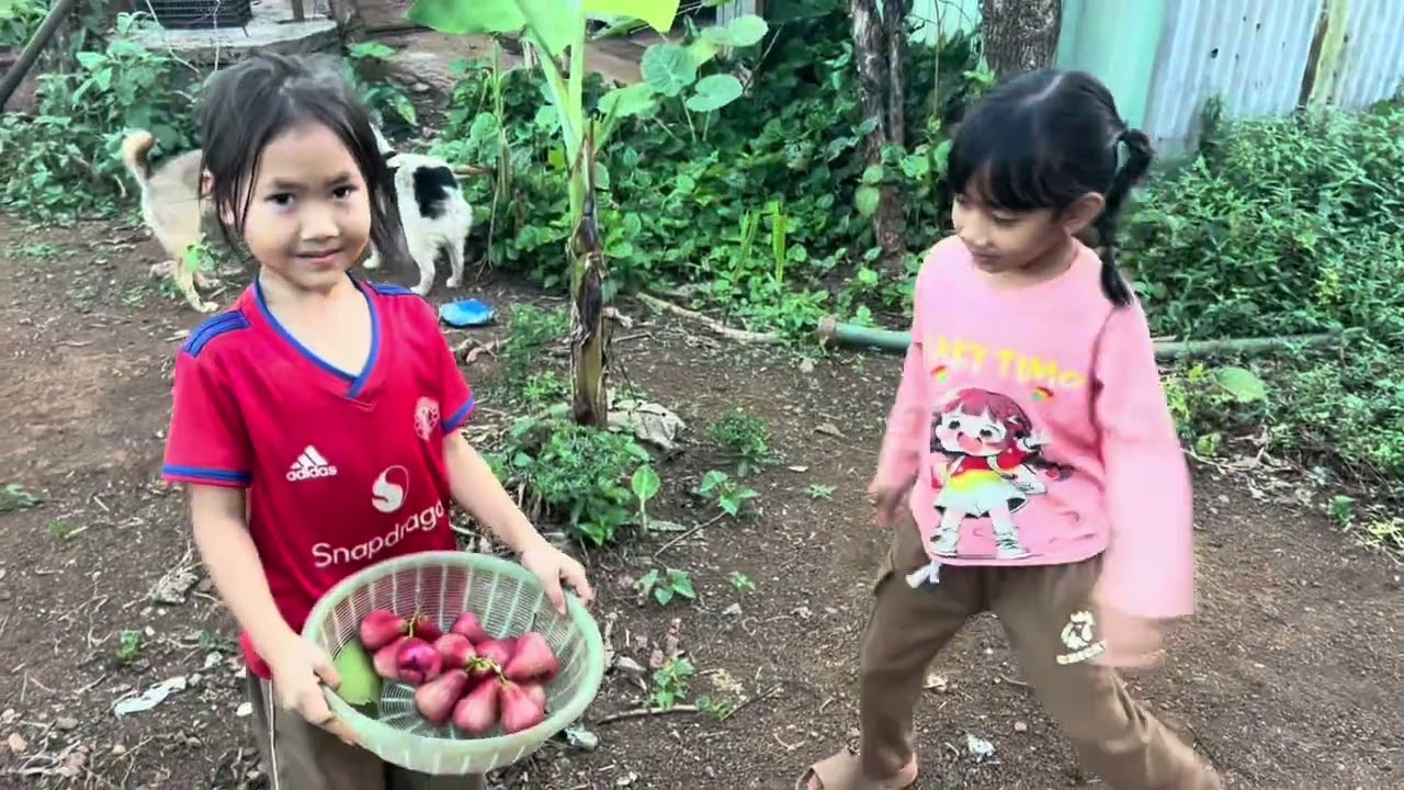 BUỔI CHIỀU QUA NHÀ MẸ HÁI QUẢ MẬN #đursiu 