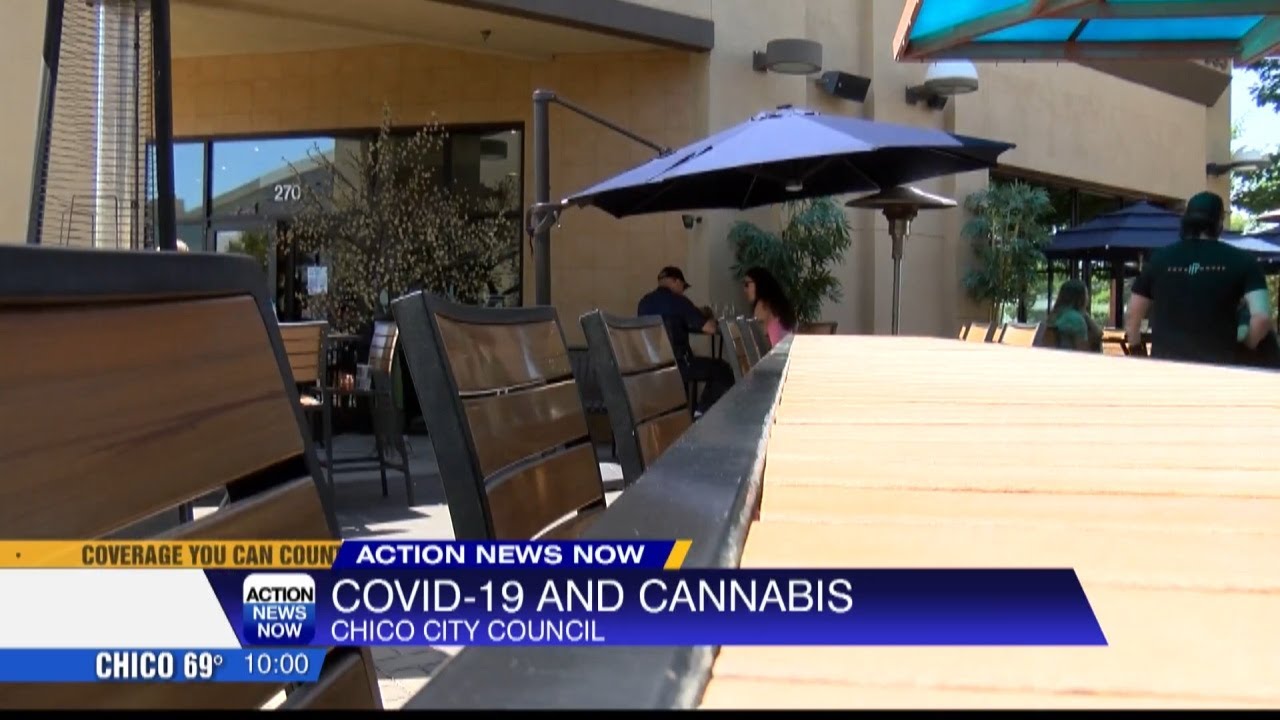 Cannabis renewal fees and COVID-19 local emergency changes for Chico