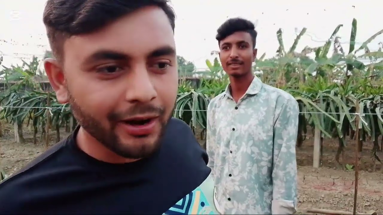 ডাগোন খেতয়ালার কি অবস্থা 