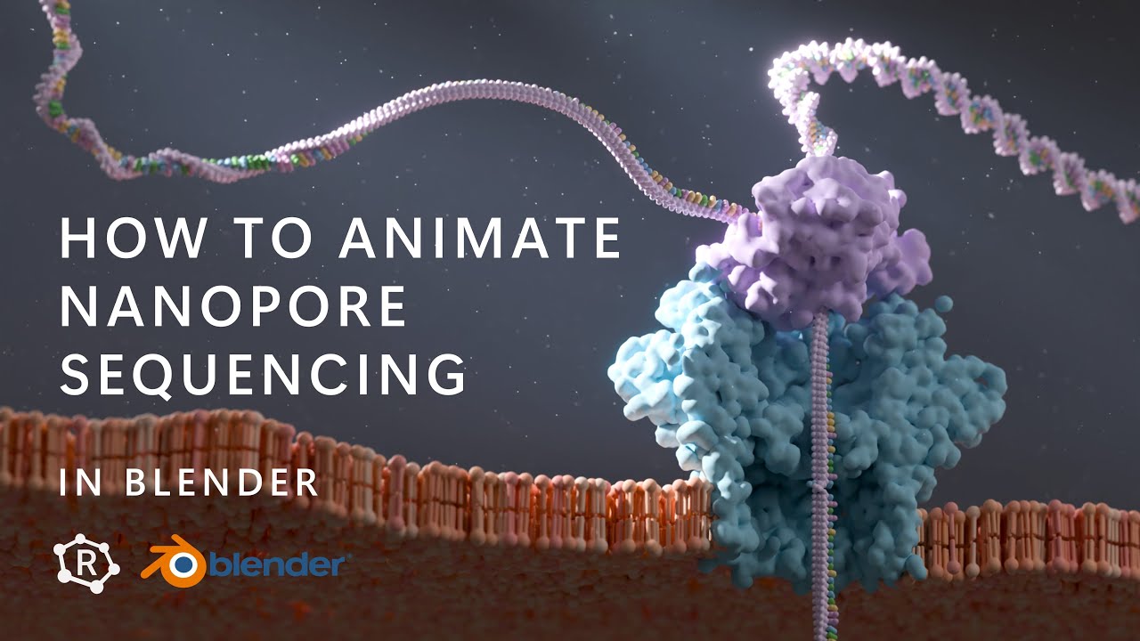 How to Animate Nanopore Sequencing