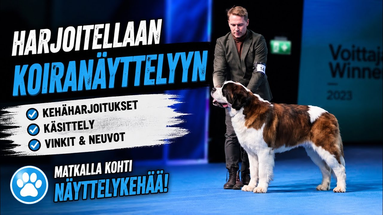KOIRANÄYTTELYYN harjoitteleminen.