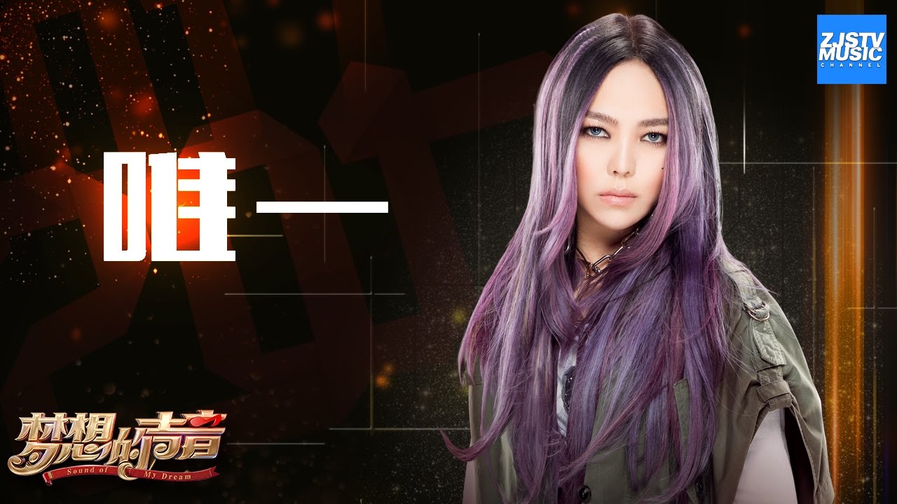 [ CLIP ] 张惠妹《唯一》《梦想的声音》第9期 20161231 /浙江卫视官方HD/