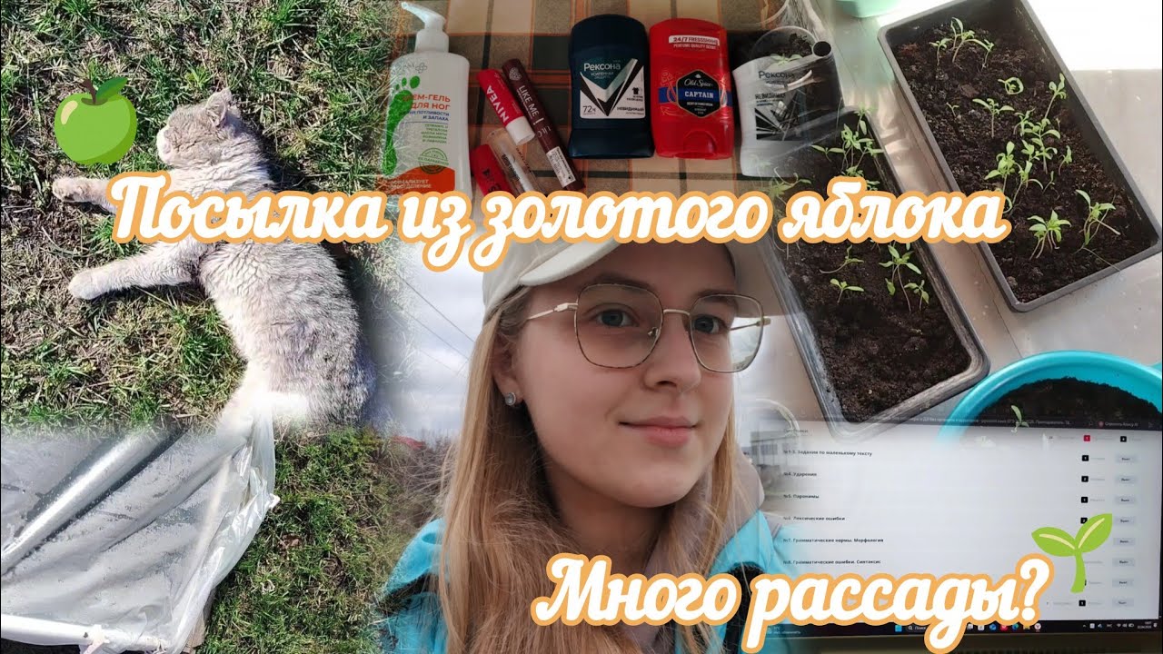 ВЛОГ Посылка из золотого яблока🍏 Много рассады?🌱