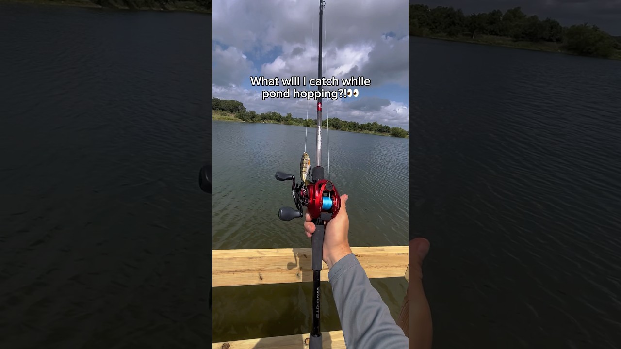 What will I catch while POND HOPPING?!👀 