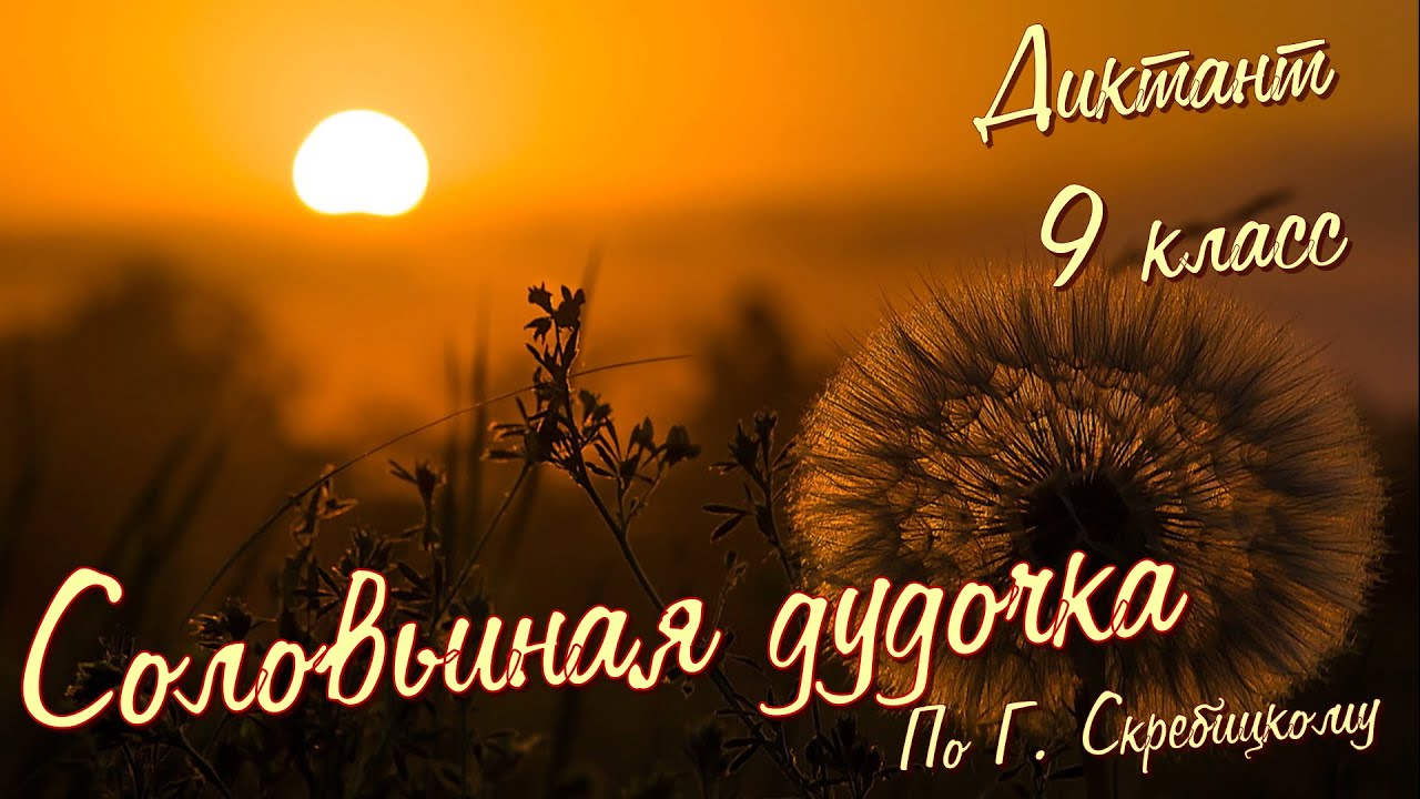 Диктант по русскому языку с проверкой! 9 класс. Соловьиная дудочка #диктант9класс #диктант