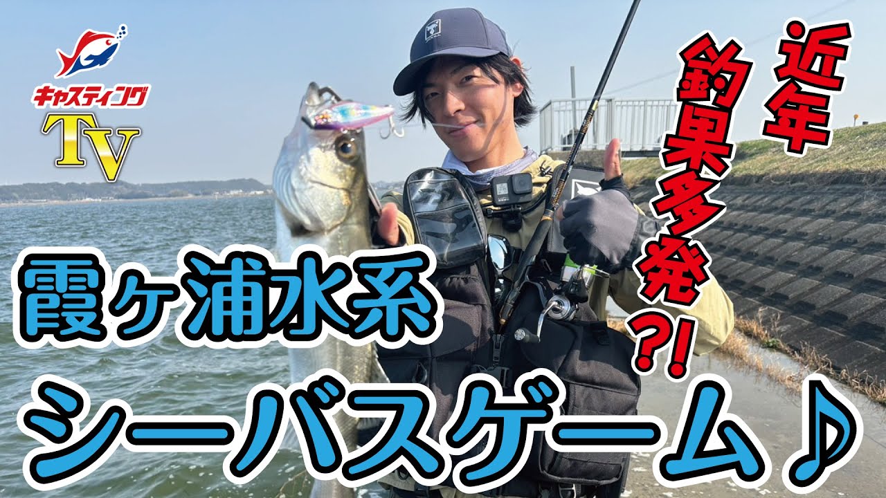 霞ヶ浦水系シーバス調査！本当に釣れるのか！？
