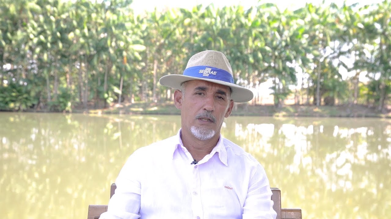 Florestas Online - Projeto Beija Flor! Revitalizações de nascentes e matas ciliares