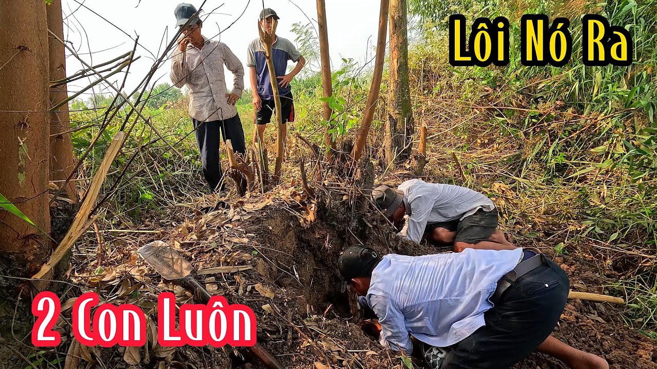 Cặp Rắn Này Nó Ở Cái Hang Sâu Kinh Khủng | Mười Thương Săn Bắt