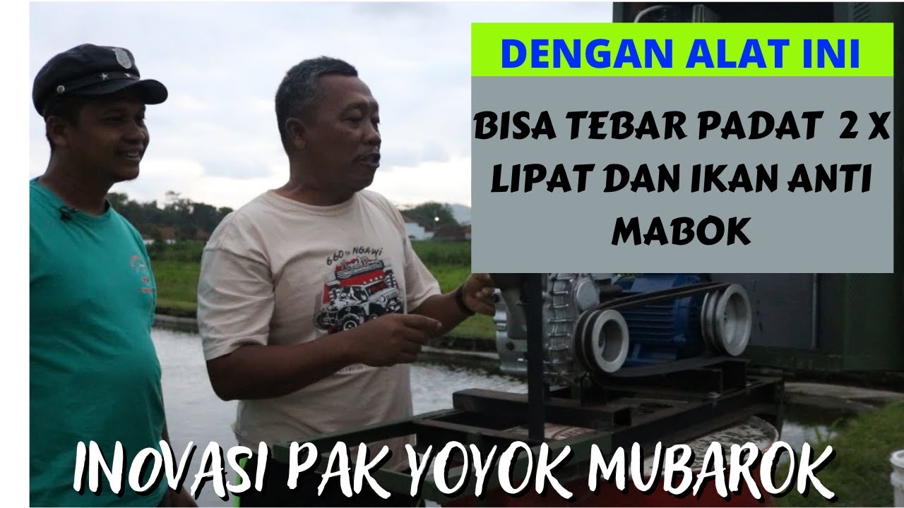 Tip Dan Rahasia Sukses Budidaya Ikan Air Tawar