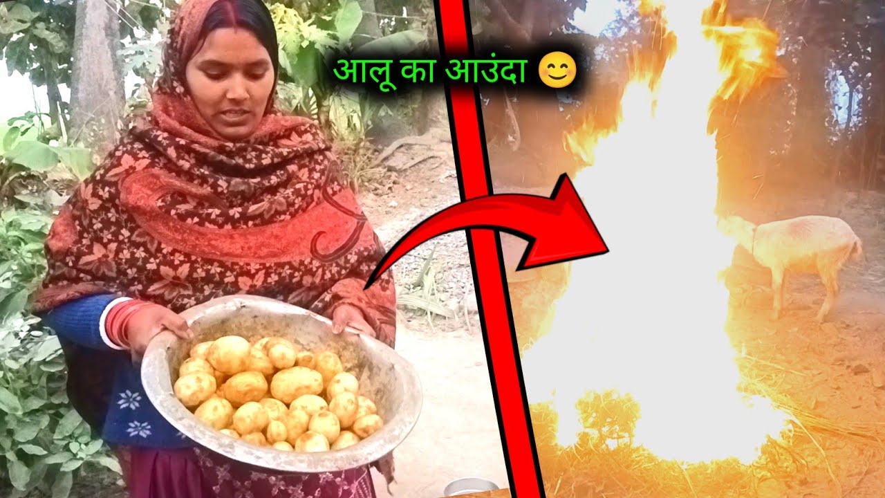 आलू को हांडी में पकाने का देसी तरीका देखिए | potato fry cooking | Gaon Ka Khana