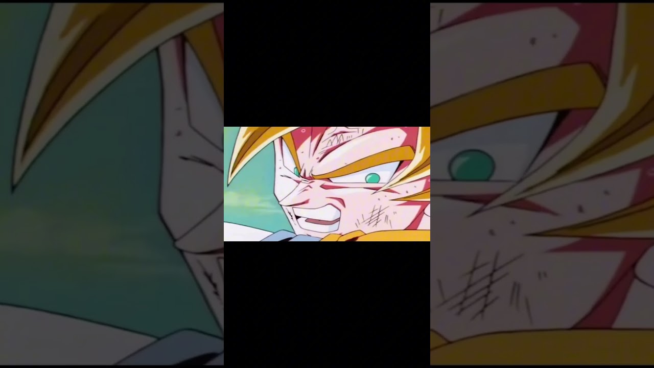 vegeta and goku play vgc 